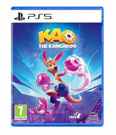 PS5 - Standard