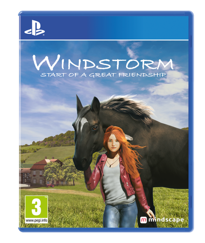 PS4 - Standard