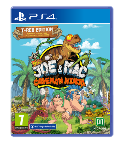 PS4 - Standard