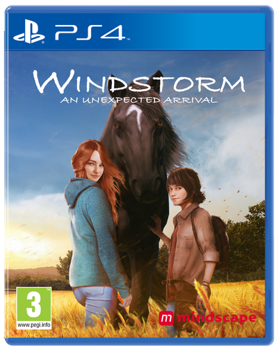 PS4 - Standard