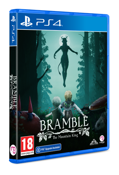 PS4 - Standard