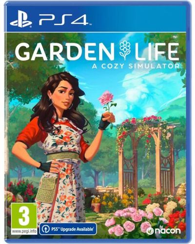 PS4 - Standard