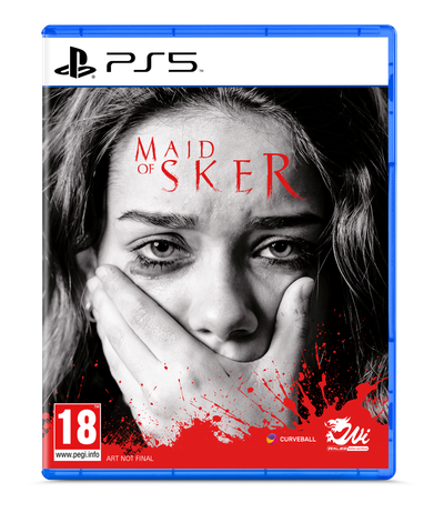 PS5 - Standard