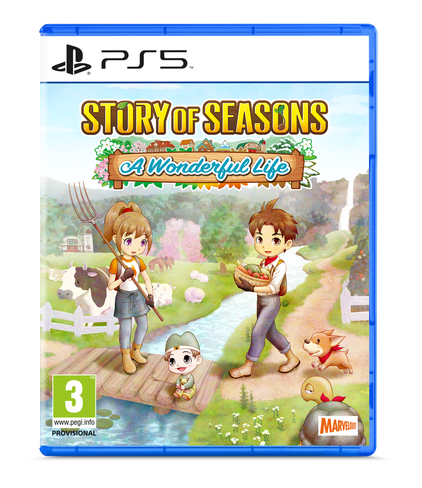 PS5 - Standard