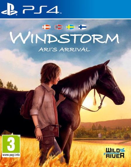 PS4 - Standard