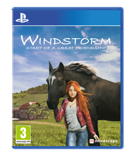 PS4 - Standard