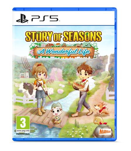 PS5 - Standard