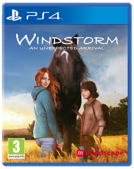 PS4 - Standard