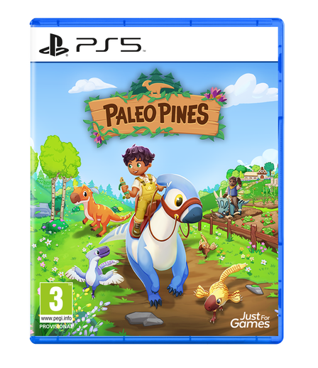 PS5 - Standard