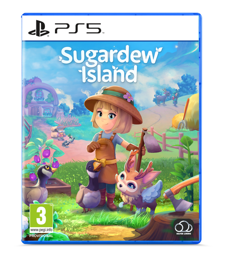 PS5 - Standard
