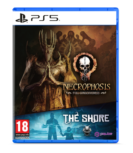 PS5 - Standard